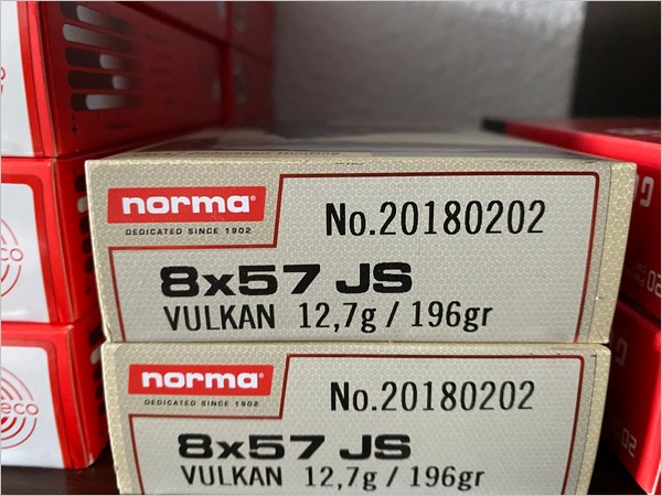 NORMA Vulkan 8x57 196gr