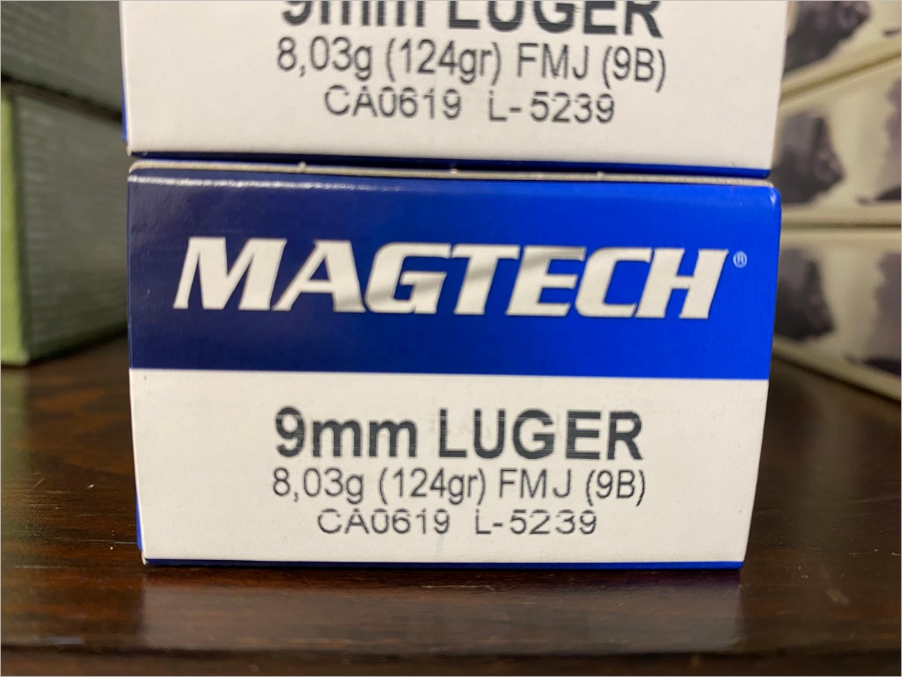 MAGTECH 9MM LUGER 124gr