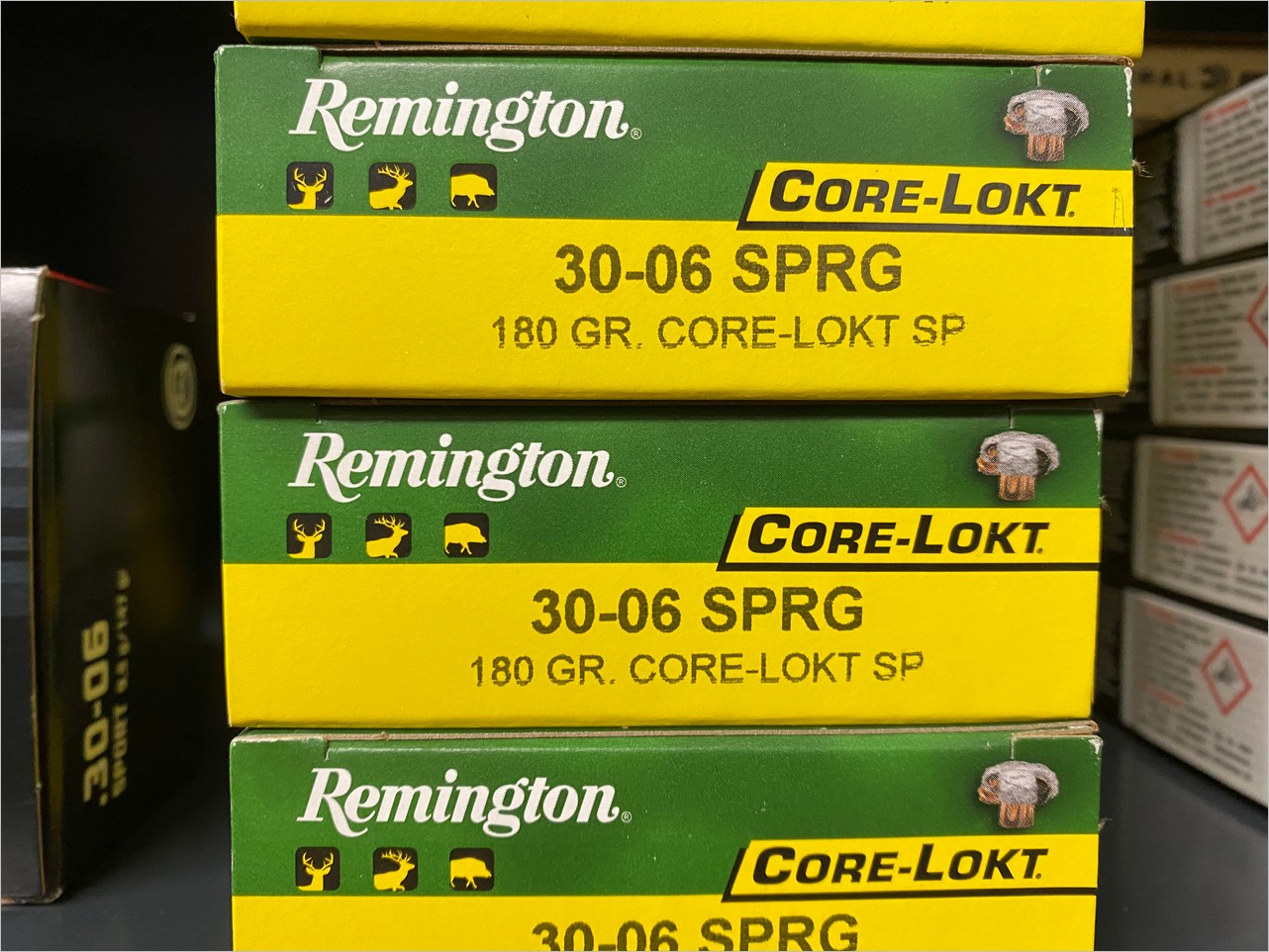 Remington .30-06 180gr CORE-LOKT